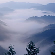 紀伊山地の霊場と参詣道